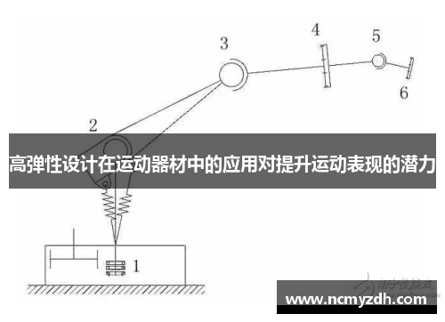 高弹性设计在运动器材中的应用对提升运动表现的潜力