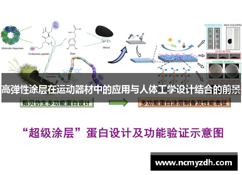 高弹性涂层在运动器材中的应用与人体工学设计结合的前景